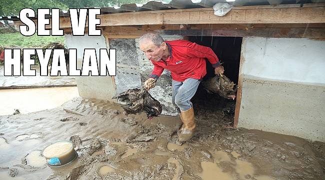 Ordu'da sel ve heyelan meydana geldi