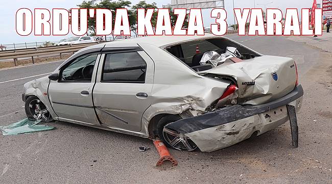 Ordu'da trafik kazası 3 kişi yaralandı