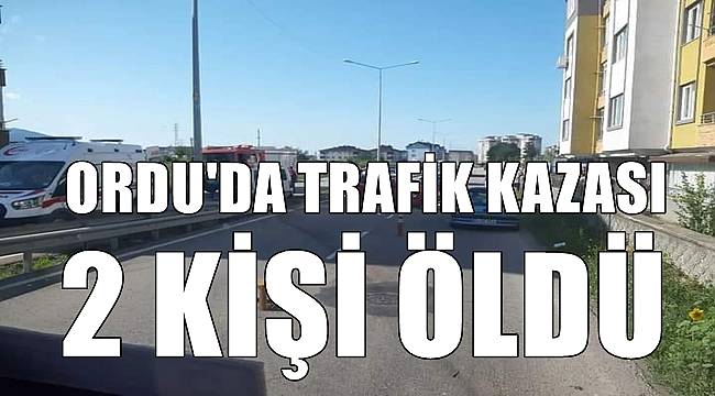 Ordu'da trafik kazasında iki kişi hayatını kaybetti