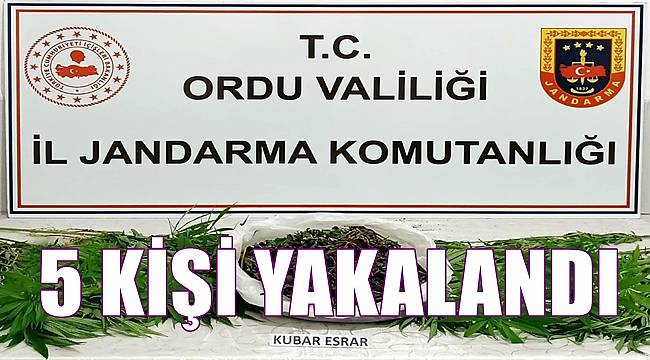 Ordu'da uyuşturucu operasyonunda 5 kişi yakalandı