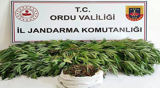 Ordu'da uyuşturucu programında iki kişi yakalandı