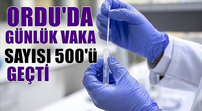 Ordu'da günlük  vaka sayısı 500'ü geçti
