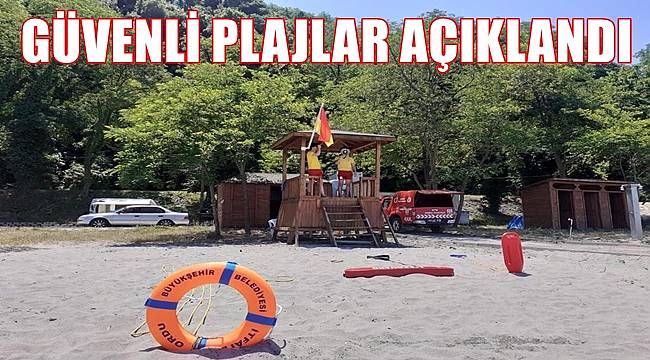 Ordu'da yüzmek için güvenli plajlar açıklandı