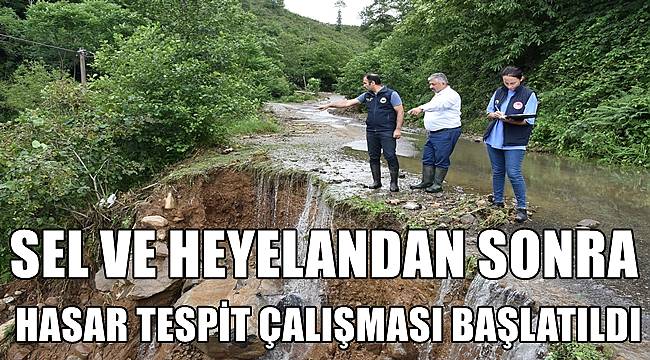 Ordu'da yağıştan etkilenen fındık bahçelerinde hasar tespit çalışması başlatıldı