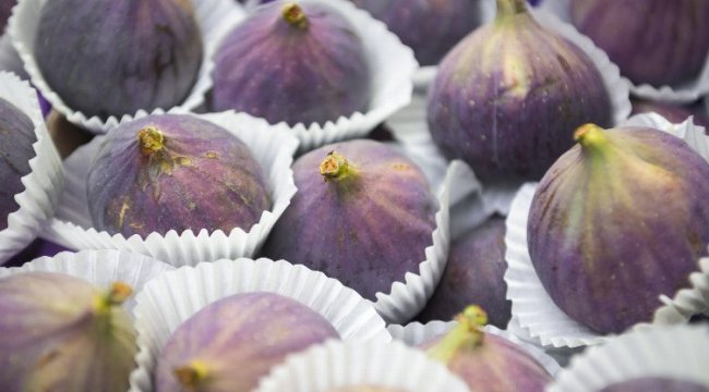 Sarılop ve Bursa Siyahı'nın ihracat tarihleri belli oldu... Taze incirde ihracat zamanı