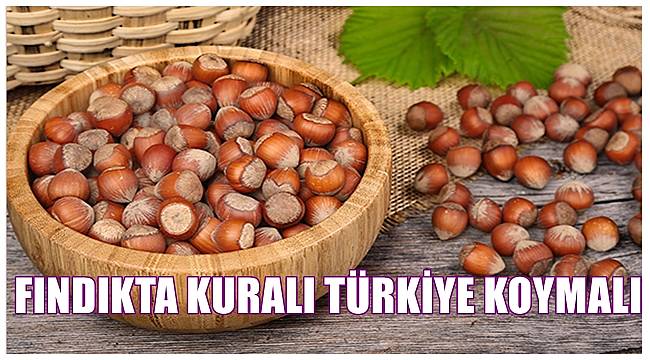 Şenocak: Fındıkta kuralı Türkiye koymalı