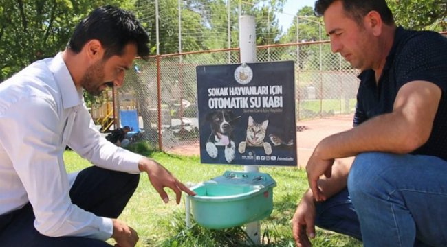 Sivas'ta sokak hayvanlarına otomatik sulama