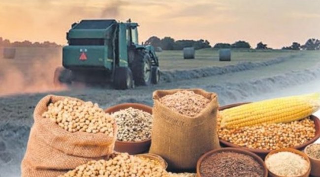 Tarım Ürünleri Fiyat Endeksi'nin Haziran verileri  açıklandı