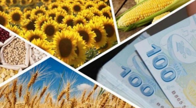 Tarıma 181,2 milyon liralık destek hesaplarda