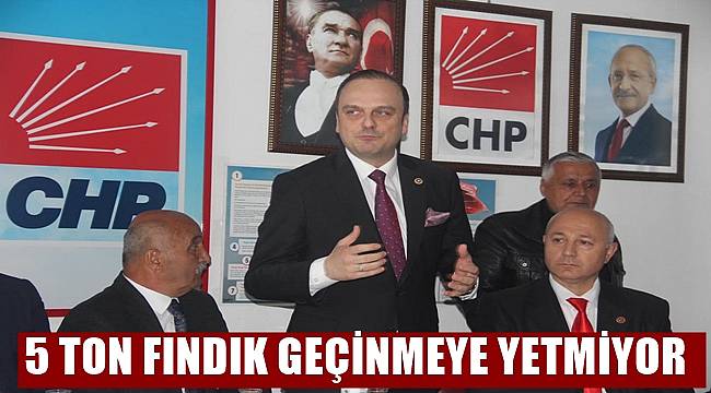 Tığlı: 5 ton fındık geçinmeye yetmiyor