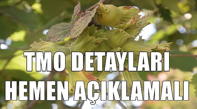 TMO fındık alım detaylarını hemen açıklamalı