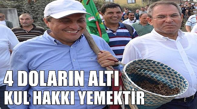 Torun: 4 doların altındaki fındık fiyatı kul hakkı yemektir