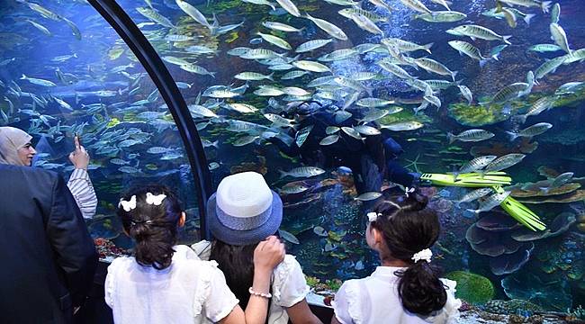 Trabzon Akvaryumu 111 bin kişi ziyaret etti