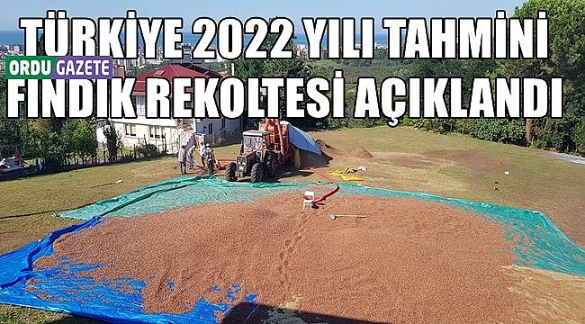 Türkiye'nin 2022 yılı tahmini fındık rekoltesi açıklandı