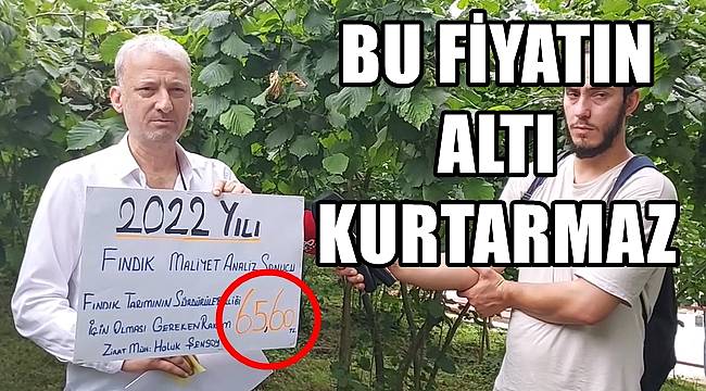 Üretici fındığın fiyatını açıkladı 65.60 TL