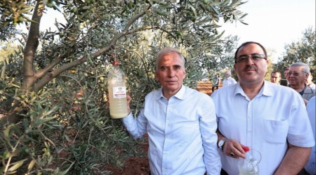 Zeytin üreticilerine biyoteknik destek