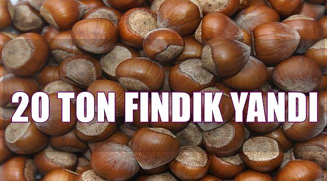 20 ton fındık yandı