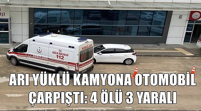 Arı yüklü kamyon otomobille çarpıştı: 4 ölü 3 yaralı