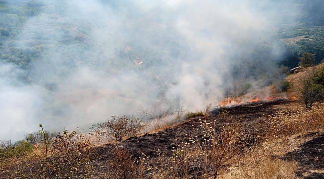 Artvin&#039;de örtü yangınında 20 dönümlük alan zarar gördü