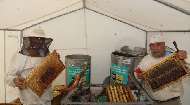 Bal hasadı başladı, modern arıcılıkta rekolteler arttı