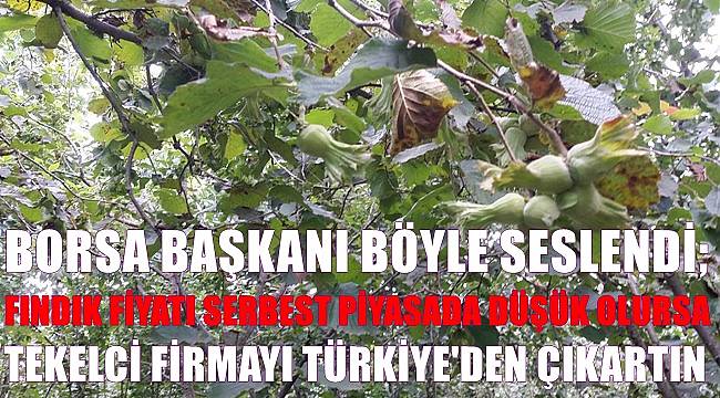Borsa Başkanı; Fındıkta tekel firmayı Türkiye'den çıkartın