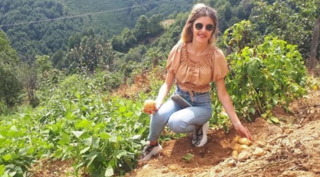 Çiftçiler patates üretimine yöneldi