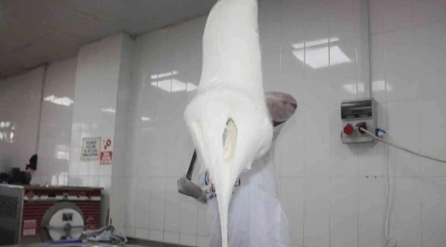 Diyarbakır'ın yerli dondurması tescillendi