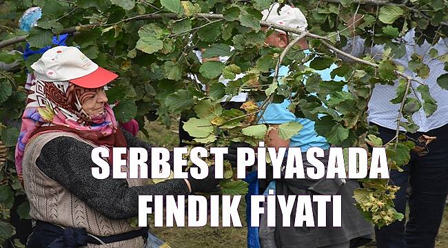 Fındık fiyatı 15.08.2022