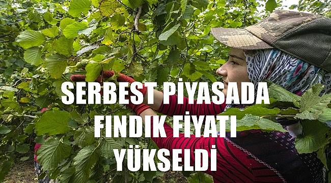 Fındık fiyatı 17.08.2022