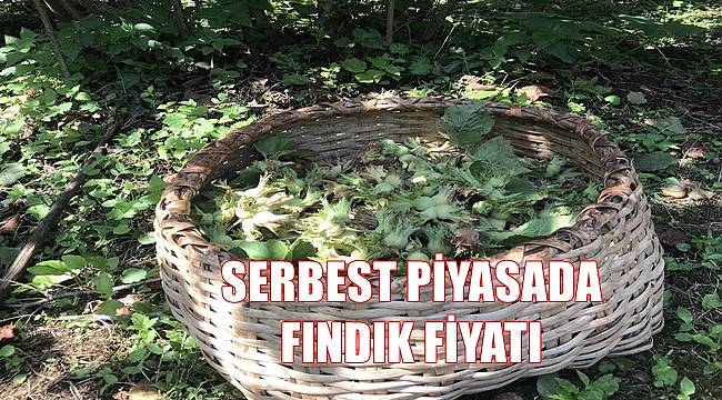 Fındık fiyatı 8 Ağustos Pazartesi