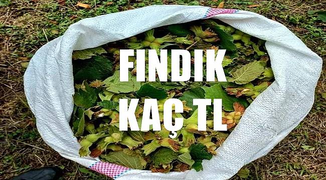 Fındık fiyatı 9 Ağustos salı