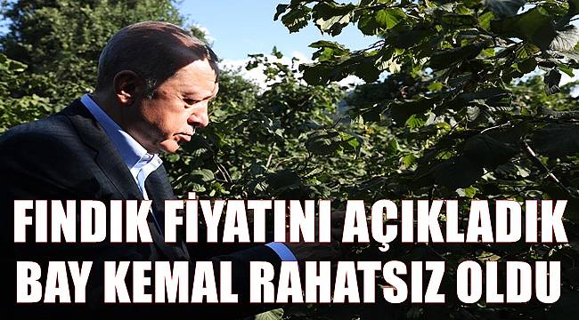 "Fındık fiyatını açıkladık Bay Kemal rahatsız oldu"