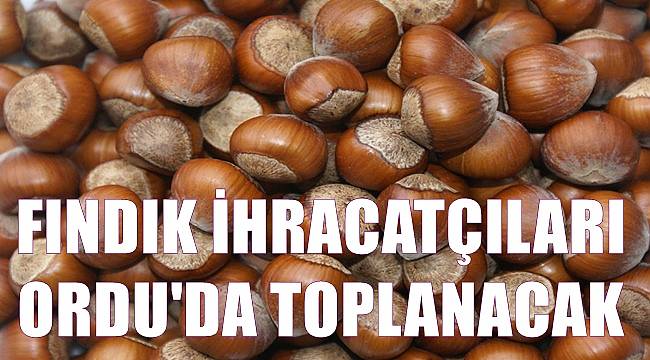 Fındık ihracatçıları Ordu'da toplanacak