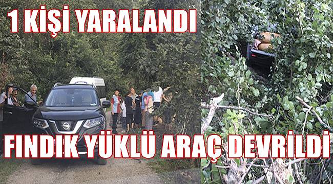 Fındık yüklü kamyonet kaza yaptı 1 kişi yaralandı
