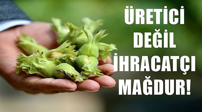 Fındıkta üretici değil ihracatçı mağdur olmuş!