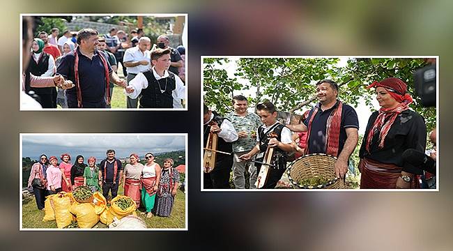 Giresun&#039;da fındık toplama yarışması yapıldı