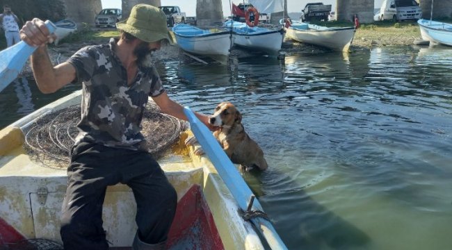 Gölyazılı Robin Hood