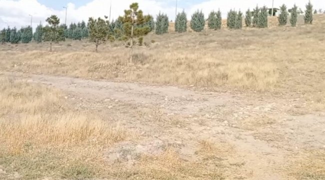 İYİ Parti Kayseri&#039;den acı &#039;Şeker&#039;