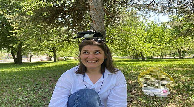 İyileştirdiği karga yalnız kalmasın diye mesaiye getiriyor