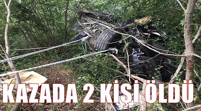 Kamyonet fındık bahçesine devrildi 2 kişi öldü