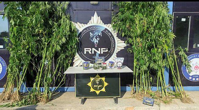 Kastamonu'da uyuşturucu operasyonunda 1 kişi tutuklandı