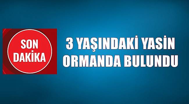 Kaybolan 3 yaşındaki çocuk ormanda bulundu