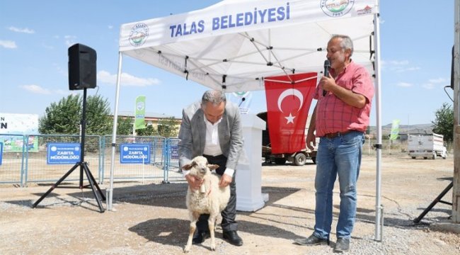 Kayseri Talas'ta hayvancılığa tam destek
