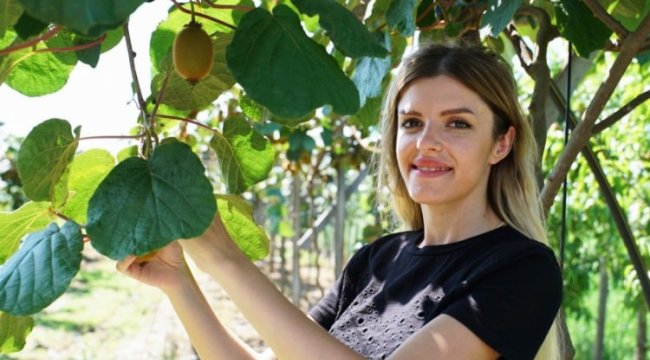 Kivi üreticilerinin yüzü güldü