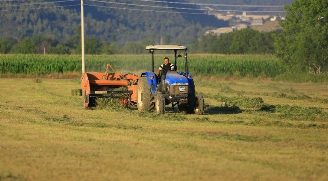 Muğla&#039;da üreticiye ücretsiz hayvan yemi