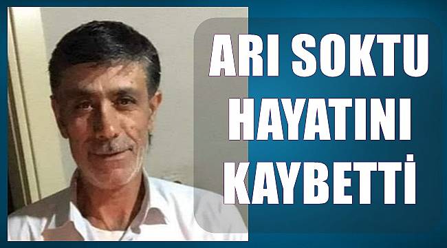 Ordu'da arı sokan kişi hayatını kaybetti