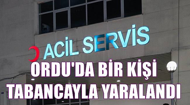 Ordu'da bir kişi tabancayla yaralandı