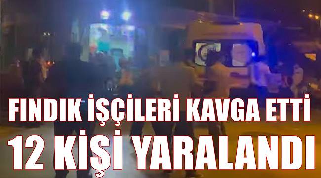 Ordu'da fındık işçileri su yüzünden kavga etti: 12 kişi yaralandı