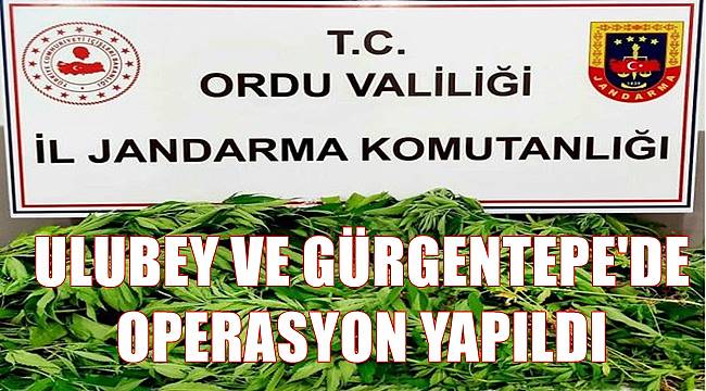 Ordu&#039;da uyuşturucu operasyonunda 4 kişi gözaltına alındı
