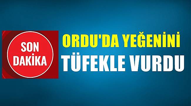 Ordu&#039;da yeğenini tüfekle vurdu